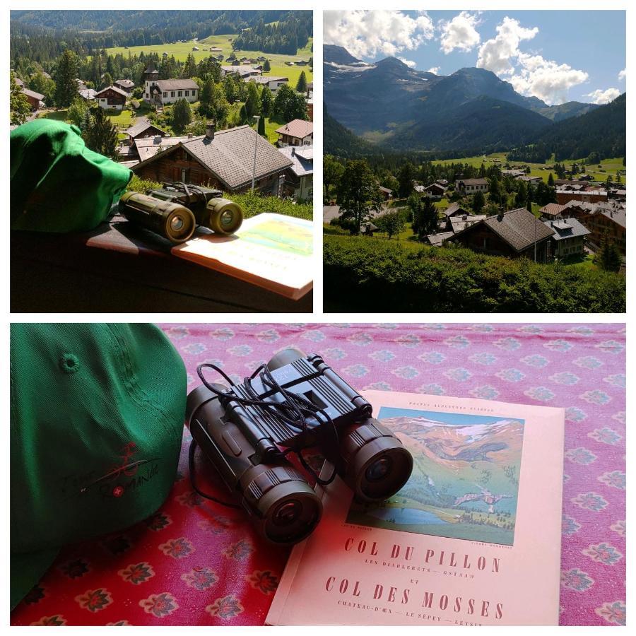 Studio Avec Vue Splendide Sur Les Diablerets Exterior foto