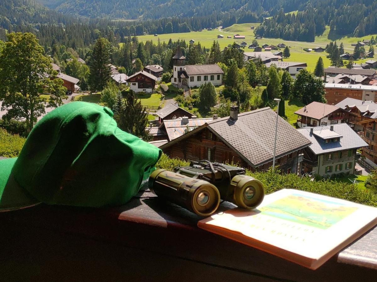 Studio Avec Vue Splendide Sur Les Diablerets Exterior foto